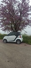 Smart ForTwo '09 451