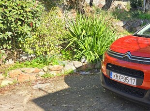 Citroen C3 '17 PURETECH 110 hp SHINE