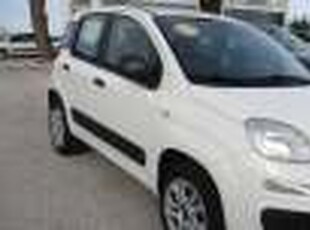 Fiat - Panda - -5 Χρόνια εγγύηση- EASY CNG - Ασπρο - 2019