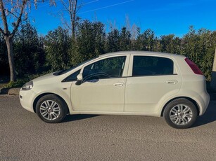 Fiat Punto '19