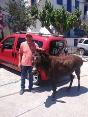 Fiat Qubo '10