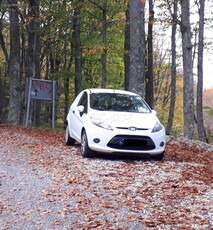 Ford Fiesta '11 VAN