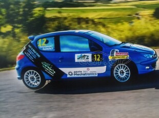 Peugeot 206 '04 RC