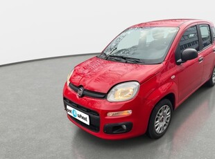 Fiat Panda Panda 1.2 Easy